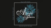 Adorable Flowers