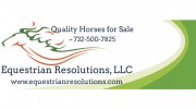 Equestrian Resolutions