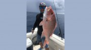 Captain Gregg Fishing Charters