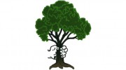 Gerald's Tree Service Of Florida