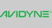 Avidyne