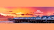 Dawn Lewis Realty