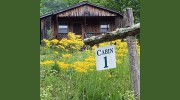 Appalachian Mountain Cabins