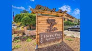 Pacific Pines