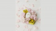 Sarah Beth Photography