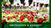 Parkview Nursery