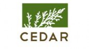 Cedar Dental Group