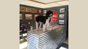 Lowell's Auto Sales