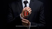Vivid-EFX An MPS Consulting Brand