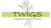 Twigs