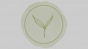 TNT Greenhouses