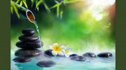 Shan Dao Acupuncture