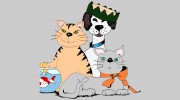 Reigning Cats & Dogs