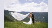 Stargazed Weddings & Events