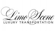 Limo Scene