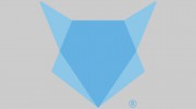 Blue Fox Branding