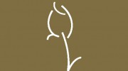 Weston Psychotherapy Services