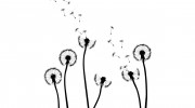 Happy Gardens