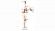 Rebalance Physical Therapy & Wellness