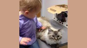 Cedarburg Veterinary Clinic