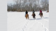 Royal Creek Farm