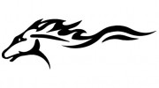 Thoroughbred Limousine