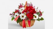Flowers For You