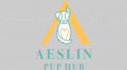 Aeslin Pup Hub Noble Square