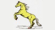 Adventure Horse Riding In NYS