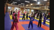 Metrowest Martial Arts