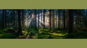 Everlasting Hope Counseling Center