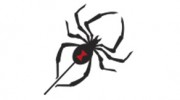 Discovery Bay Pest Control