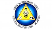 Hybrid Martial Arts