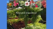 Maynard Greenhouses