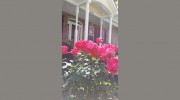 Mandeville House Assisted Living
