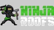Ninja Roofs