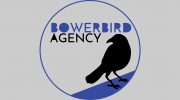 The Bowerbird Agency