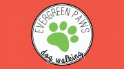 Evergreen Paws