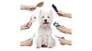 Mobile Pet Grooming Hollywood