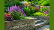 Atl Landscaping & Maintenance