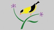Campbell Natural Landscape Design