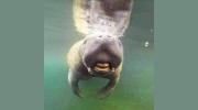 Family Adventure Charters