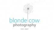 Blonde Cow Photography