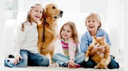 Petspro Supplies