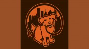 Dog About Town