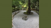 Inner Wisdom Acupuncture & Herbal Medicine