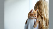 Cherry Hill Animal Hospital