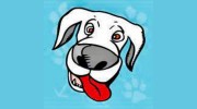 Pet Kraze