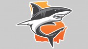 Mad Shark Charters