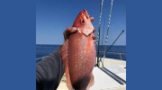 Majesty & Mayport Princess Deep Sea Fishing